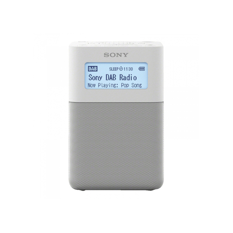 Sony Xdr-V20dw, Přenosný Radiobudík Dab/Dab+ S Reproduktorem, Stříbrný