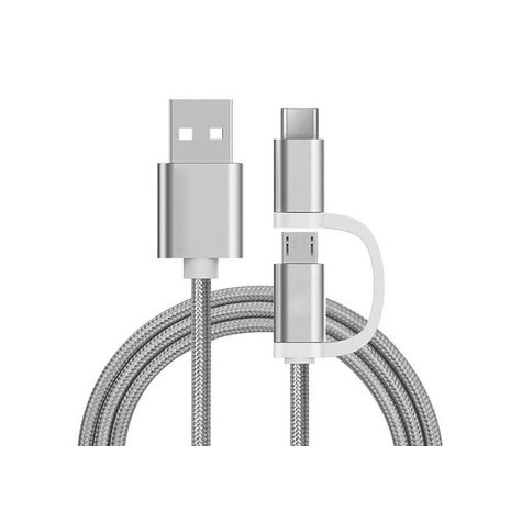 Reekin 2 In 1 Charging Cable (Usb Micro & Type-C) - 1.0 Meter (Silver-Nylon)