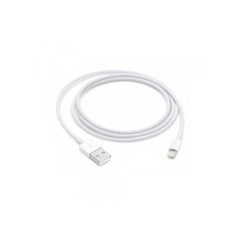 Kabel Apple Lightning Na Usb (1 M)
