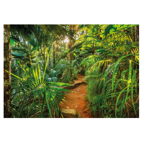 Fototapety - Jungle Trail - Velikost 368 X 254 Cm