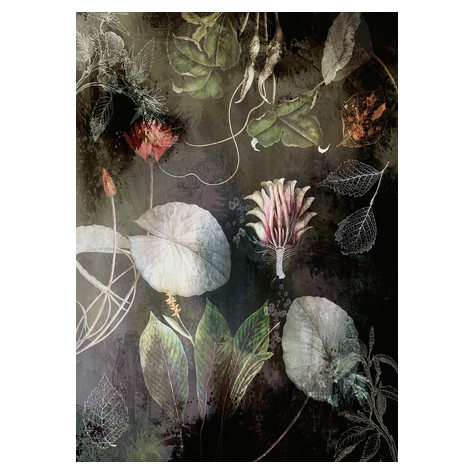 Vliesová Fototapeta - Noční Květiny - Rozměr 200 X 280 Cm