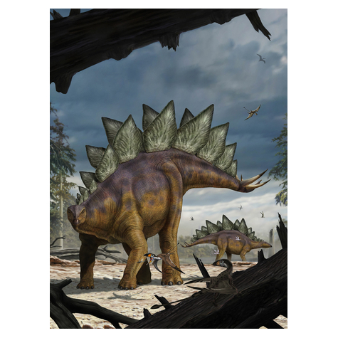 Vliesová Fototapeta - Stegosaurus - Rozměr 184 X 248 Cm