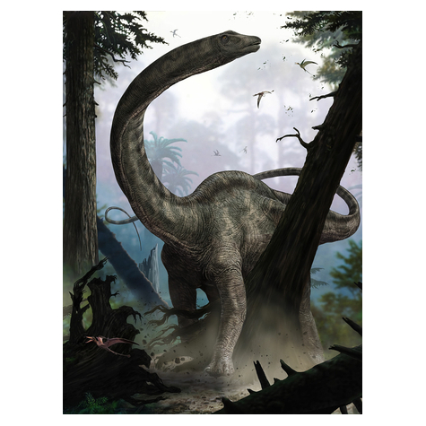 Netkaná Tapeta - Rebbachisaurus - Rozměr 184 X 248 Cm