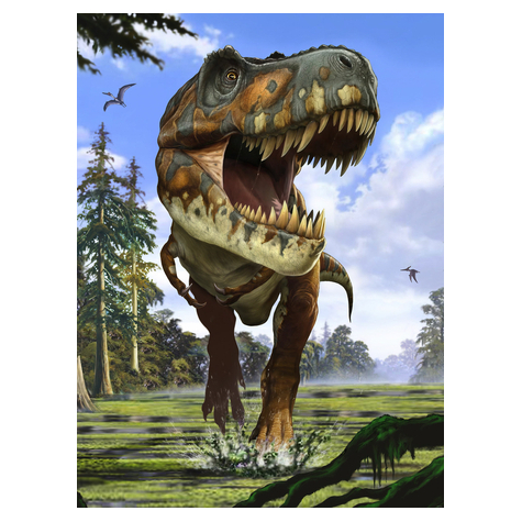 Netkané Tapety - Tyranosaurus Rex - Rozměr 184 X 248 Cm