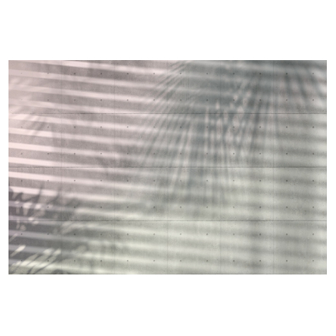 Vliesová Fototapeta - Stíny - Rozměr 368 X 248 Cm