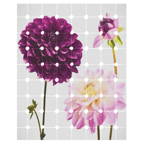 Vliesová Fototapeta - Květiny A Tečky - Rozměr 200 X 250 Cm