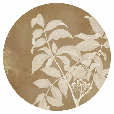 Samolepicí Netkaná Tapeta / Tetování Na Zeď - Blooming Branch - Rozměr 125 X 125 Cm