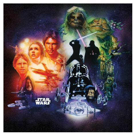 Netkané Tapety - Star Wars Classic Poster Collage - Rozměr 250 X 250 Cm