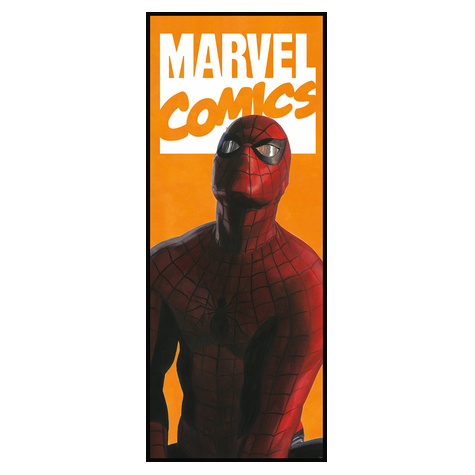 Netkaná Tapeta - Spider-Man Comic - Rozměr 100 X 250 Cm
