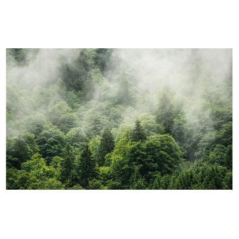 Vliesová Fototapeta - Forest Land - Rozměr 400 X 250 Cm