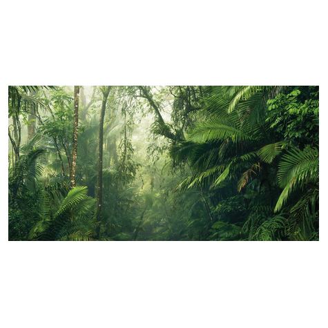 Vliesová Fototapeta - Tropické Světy - Rozměr 500 X 250 Cm