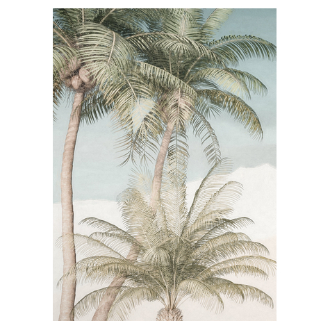 Netkaná Tapeta - Palm Oasis - Rozměr 200 X 280 Cm