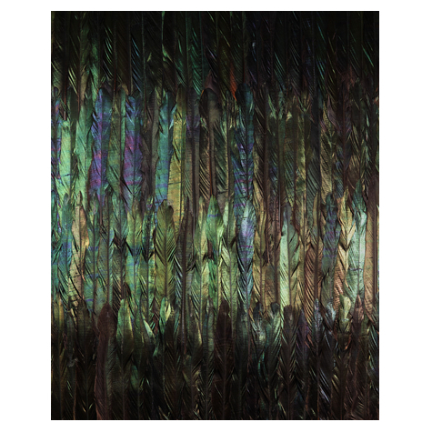 Vliesová Fototapeta - Dark Wings - Rozměr 200 X 250 Cm