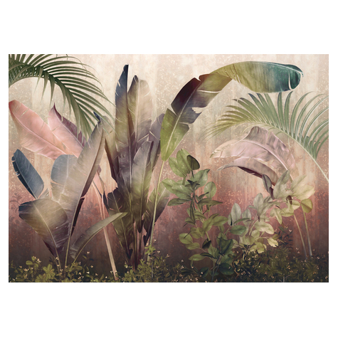 Vliesová Fototapeta - Rainforest Mist - Rozměr 350 X 250 Cm