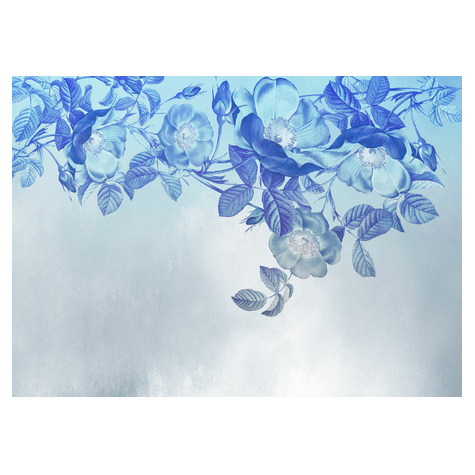 Vliesová Fototapeta - Blue Aura - Rozměr 350 X 250 Cm