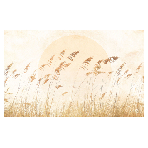 Netkaná Tapeta - Dune Grass - Rozměr 400 X 250 Cm