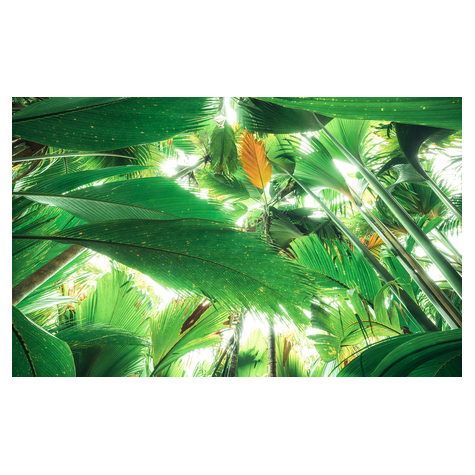 Vliesová Fototapeta - Jungle Roof Ii - Rozměr 450 X 280 Cm