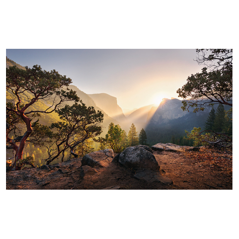 Netkané Tapety - Yosemites Secret - Velikost 450 X 280 Cm