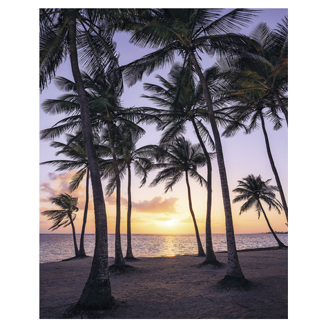Netkané Tapety - Palmové Stromy Na Pláži - Velikost 200 X 250 Cm