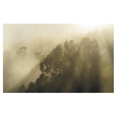 Vliesová Fototapeta - Misty Mountain - Rozměr 400 X 250 Cm