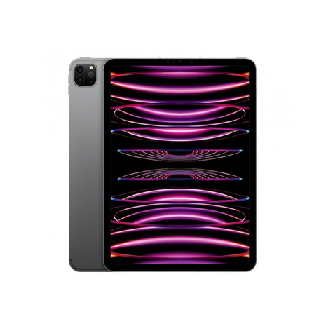 Apple Ipad Pro 11 Wi-Fi + Cellular 1tb Space Gray 4. Generace Mnyj3fd/A