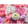 Photomurals  Photo Wallpaper - Vibrant Spring - Size 368 X 254 Cm