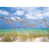 Photomurals  Photo Wallpaper - Ocean Breeze - Size 368 X 254 Cm