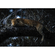 Vliesová Fototapeta - Panthera - Rozměr 400 X 280 Cm