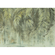 Non-Woven Wallpaper - Palm Fronds - Size 350 X 250 Cm