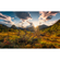 Vliesová Fototapeta - Norské Podzimní Světy - Rozměr 450 X 280 Cm