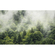 Vliesová Fototapeta - Forest Land - Rozměr 400 X 250 Cm